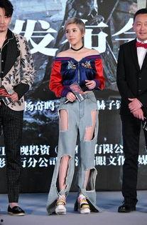 战地玫瑰演员表,揭秘演员阵容，重温烽火岁月中的英雄传奇