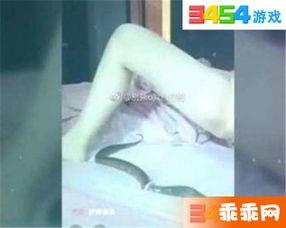 美女主播琪琪视频黄鳝,黄鳝成焦点，网友热议不断