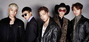 韩娱小说男主不是明星,娱乐圈的低调守护者