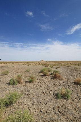 关于戈壁的资料